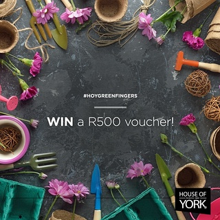 Green Fingers Instagram Competition -  green fingers competition
