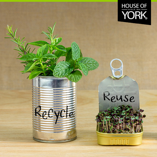 10 Items you can Reuse in the Kitchen -  september hoy