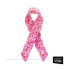 8 Ways to Help a Loved One with Breast Cancer -  breast cancer